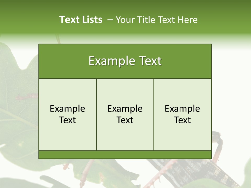 Locust Eating A Leaf Of An Oak - Macro Shot PowerPoint Template