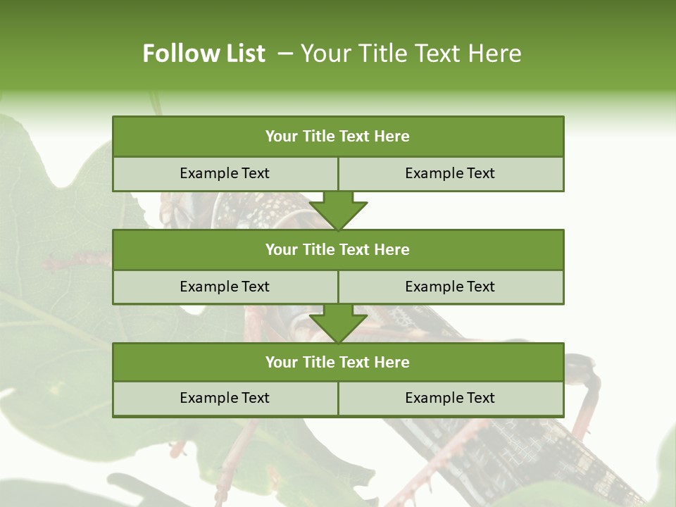 Locust Eating A Leaf Of An Oak - Macro Shot PowerPoint Template