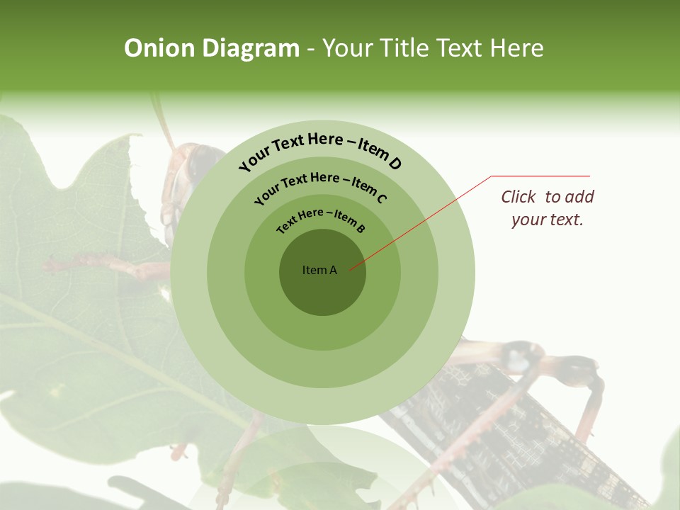 Locust Eating A Leaf Of An Oak - Macro Shot PowerPoint Template