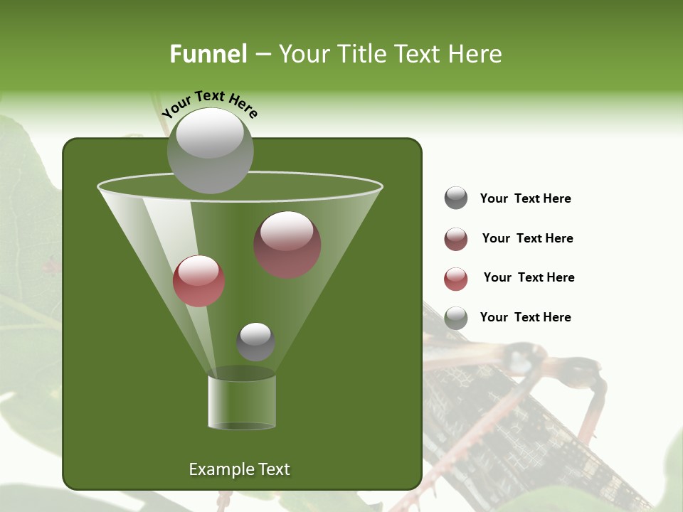 Locust Eating A Leaf Of An Oak - Macro Shot PowerPoint Template