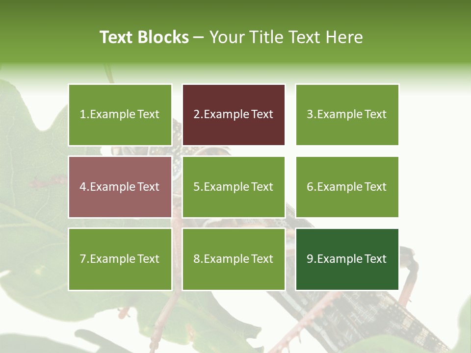 Locust Eating A Leaf Of An Oak - Macro Shot PowerPoint Template