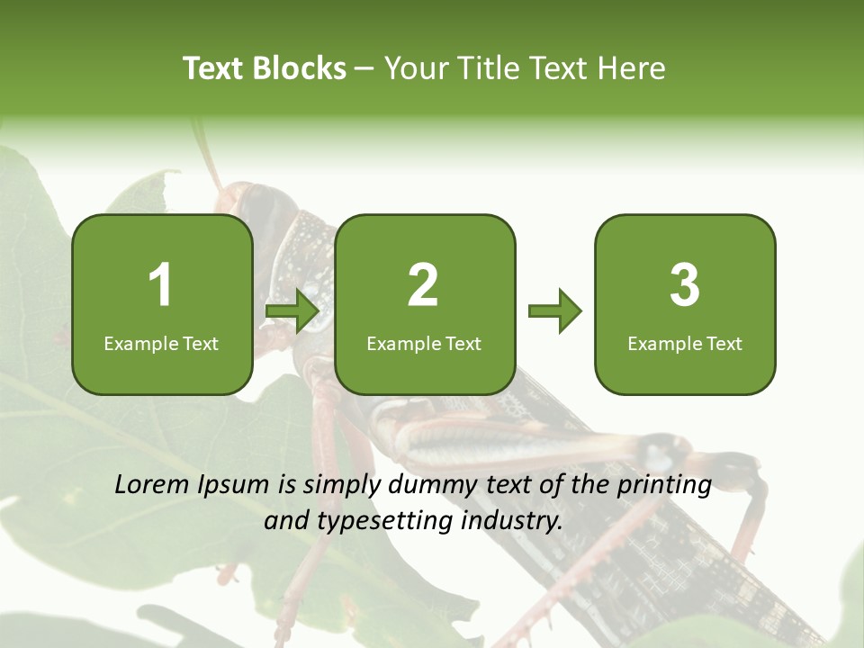 Locust Eating A Leaf Of An Oak - Macro Shot PowerPoint Template
