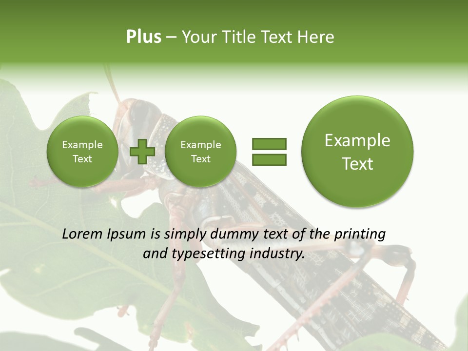 Locust Eating A Leaf Of An Oak - Macro Shot PowerPoint Template