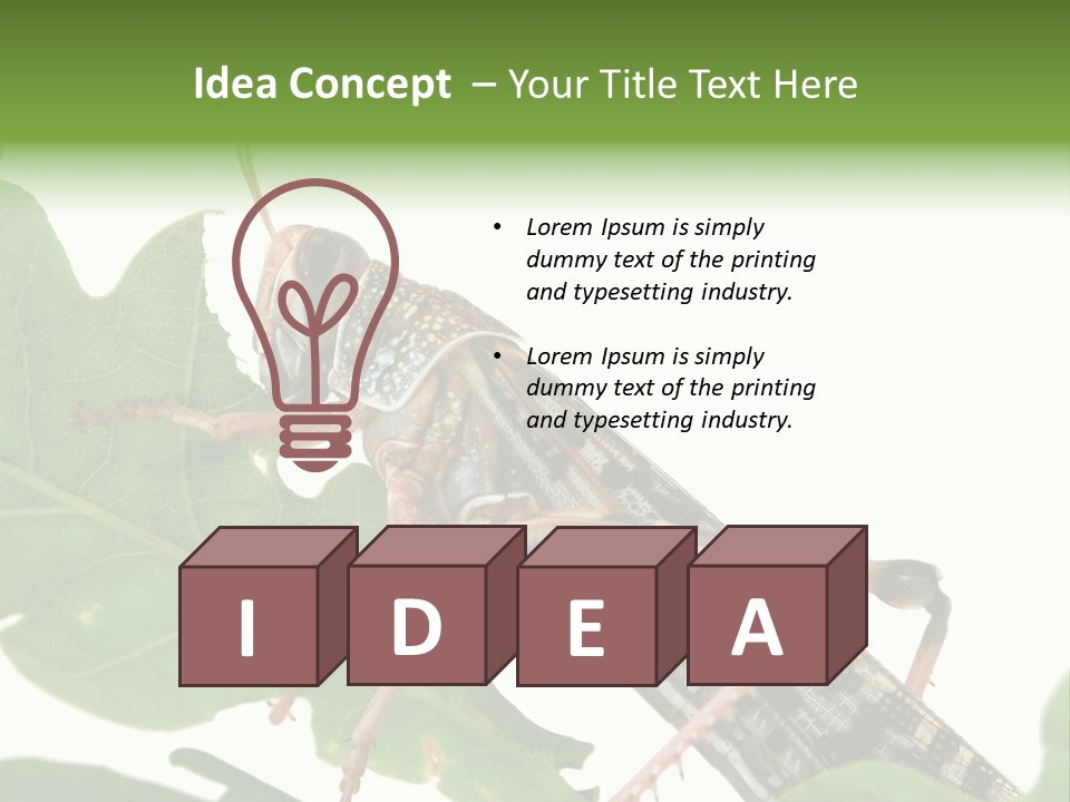 Locust Eating A Leaf Of An Oak - Macro Shot PowerPoint Template