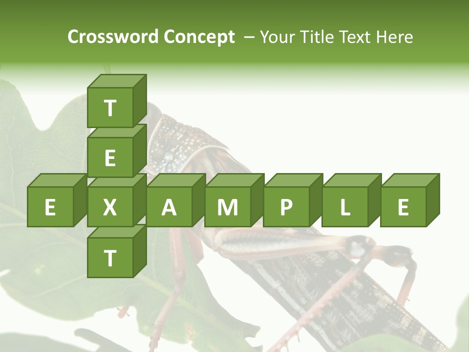 Locust Eating A Leaf Of An Oak - Macro Shot PowerPoint Template