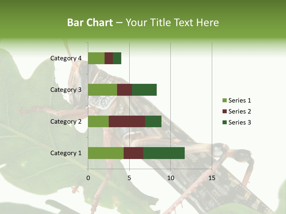 Locust Eating A Leaf Of An Oak - Macro Shot PowerPoint Template