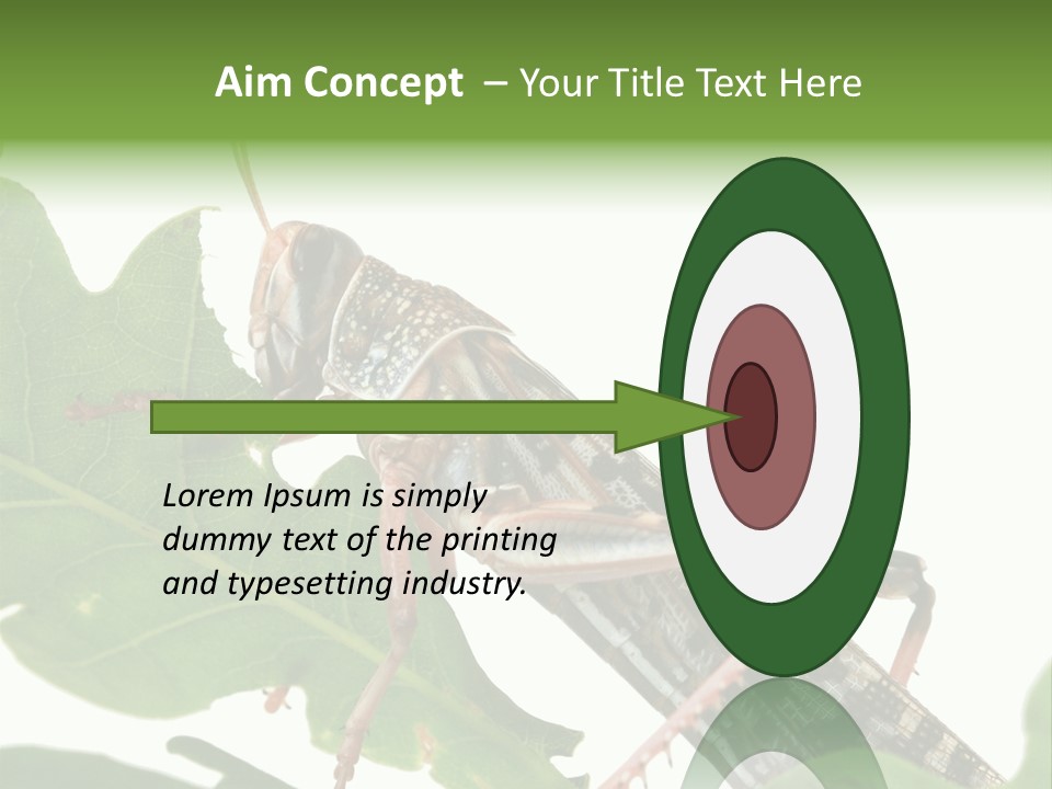 Locust Eating A Leaf Of An Oak - Macro Shot PowerPoint Template