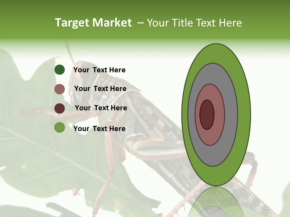 Locust Eating A Leaf Of An Oak - Macro Shot PowerPoint Template