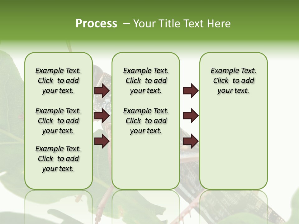Locust Eating A Leaf Of An Oak - Macro Shot PowerPoint Template