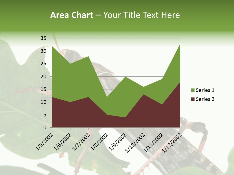Locust Eating A Leaf Of An Oak - Macro Shot PowerPoint Template