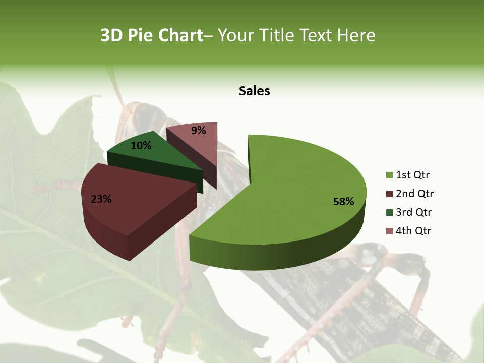 Locust Eating A Leaf Of An Oak - Macro Shot PowerPoint Template
