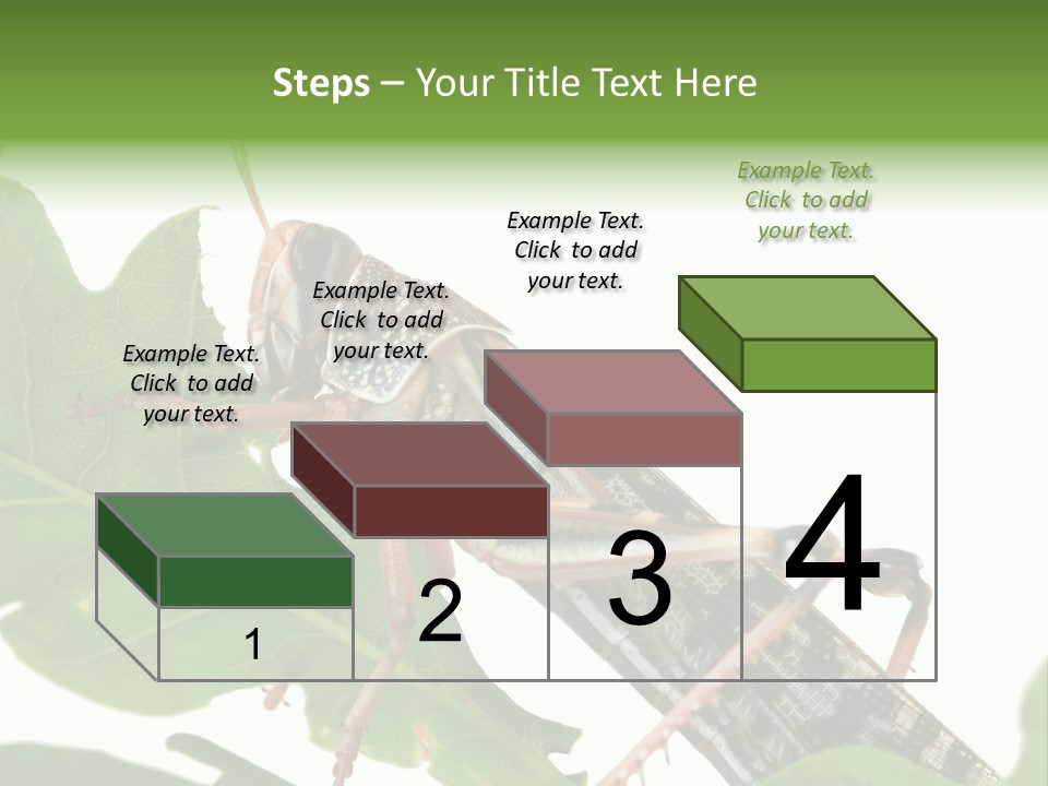 Locust Eating A Leaf Of An Oak - Macro Shot PowerPoint Template