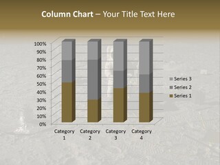 Astronaut Collecting Lunar Artifacts PowerPoint Template