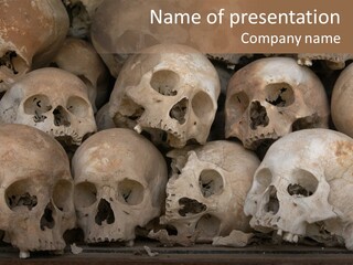 Skulls From A Mass Grave Of Khmer Rouge Victims In Choeung Ek Aka The Killing Fields Near Phnom Penh, Cambodia. PowerPoint Template