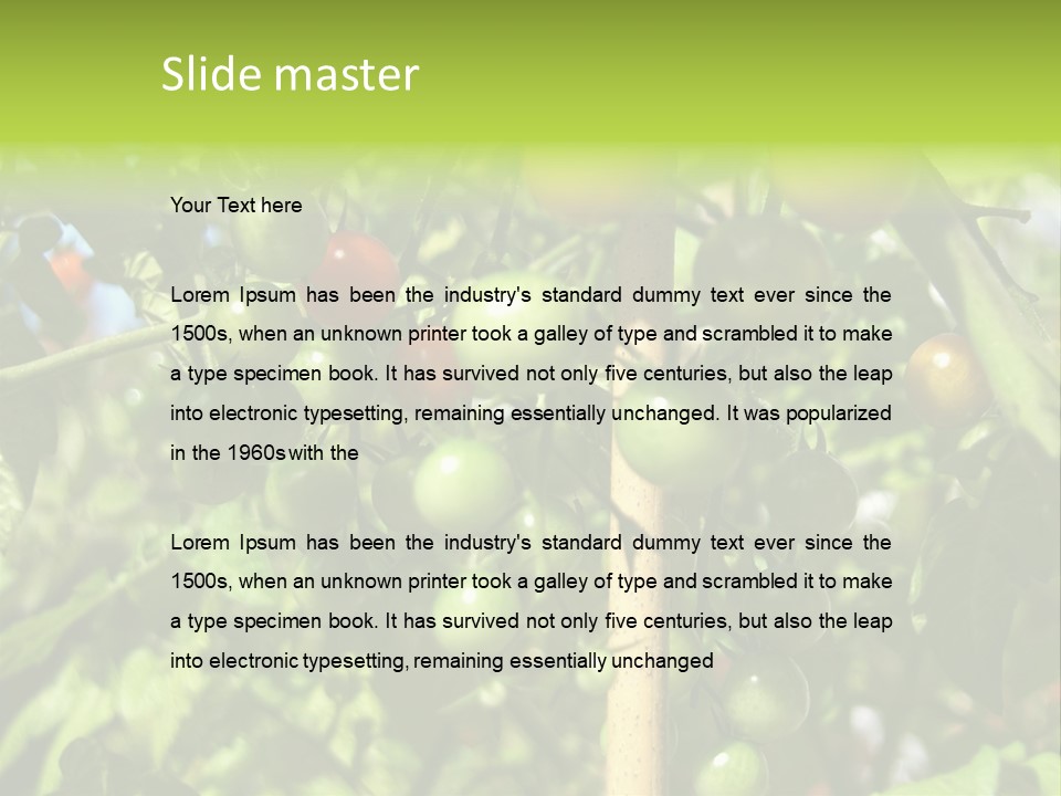 A Tree Filled With Lots Of Green And Red Tomatoes PowerPoint Template