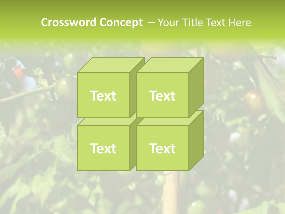 A Tree Filled With Lots Of Green And Red Tomatoes PowerPoint Template