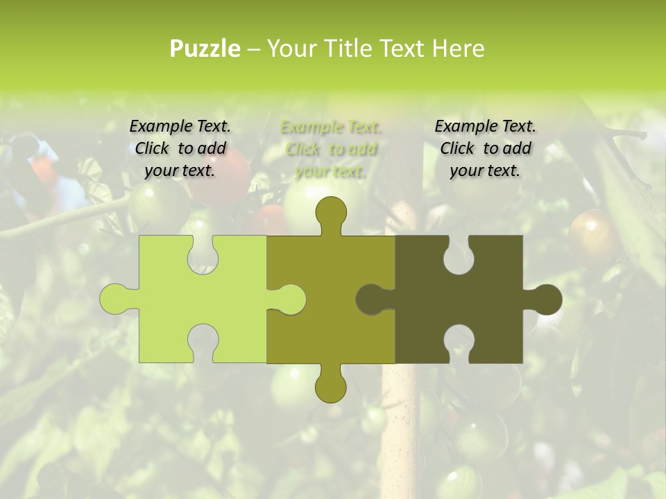 A Tree Filled With Lots Of Green And Red Tomatoes PowerPoint Template