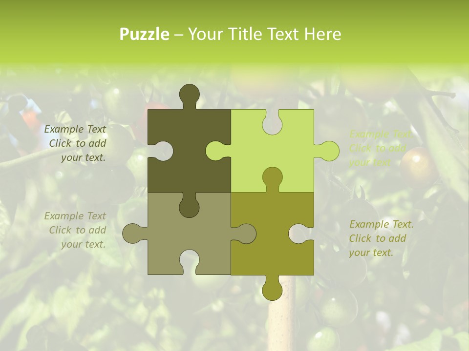 A Tree Filled With Lots Of Green And Red Tomatoes PowerPoint Template