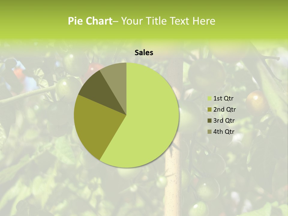 A Tree Filled With Lots Of Green And Red Tomatoes PowerPoint Template