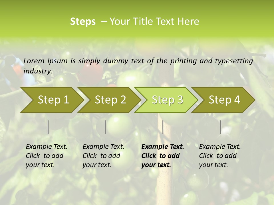 A Tree Filled With Lots Of Green And Red Tomatoes PowerPoint Template