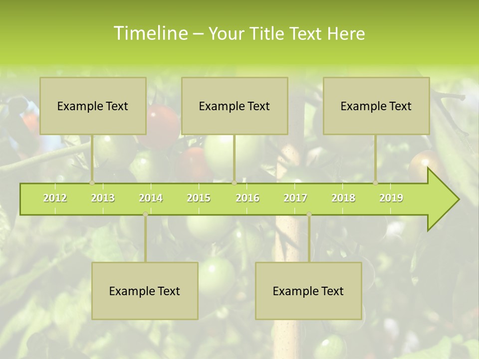 A Tree Filled With Lots Of Green And Red Tomatoes PowerPoint Template