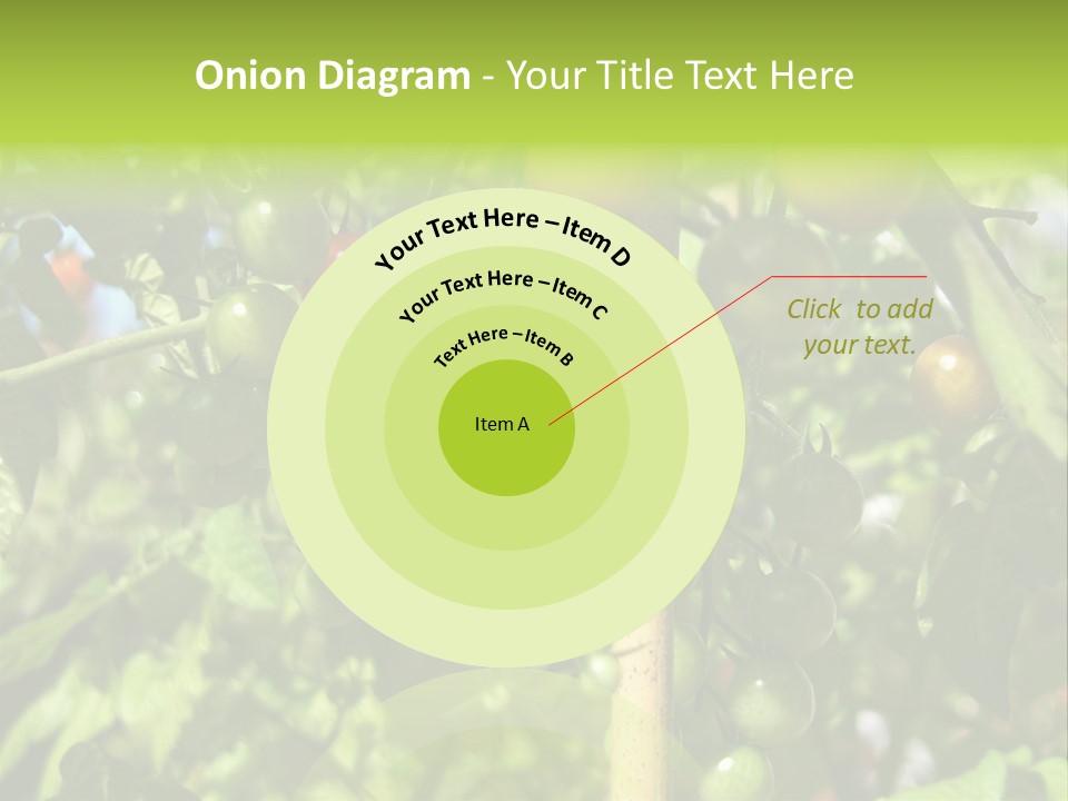 A Tree Filled With Lots Of Green And Red Tomatoes PowerPoint Template
