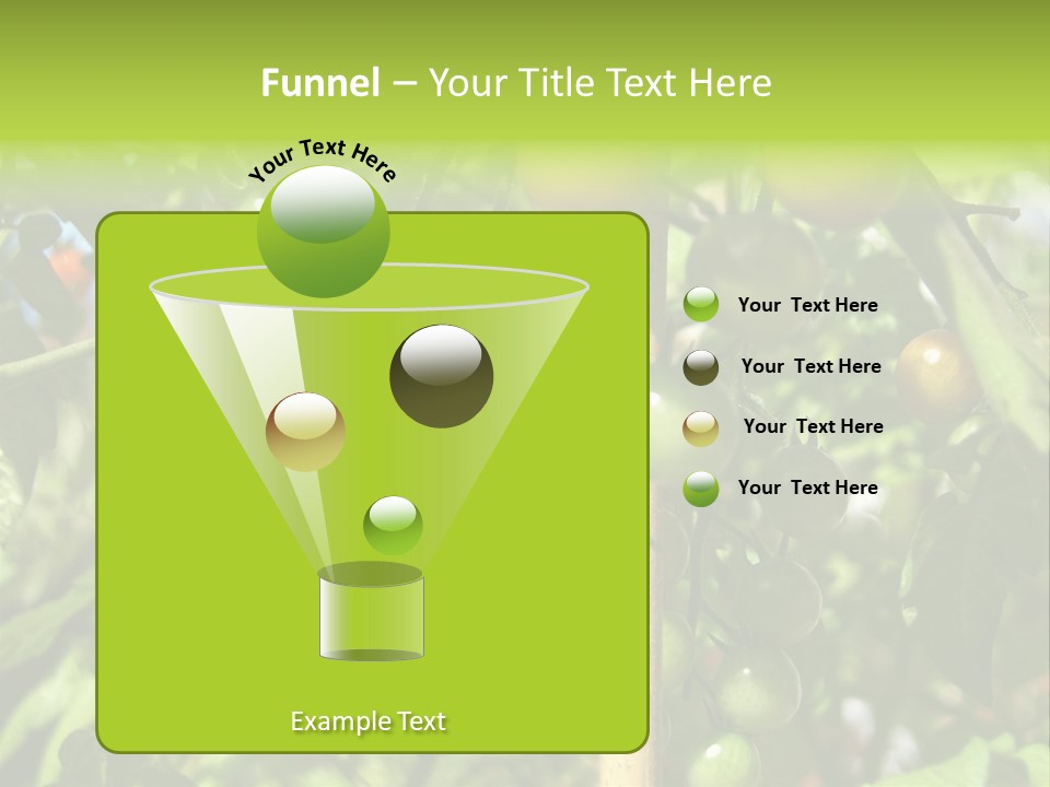 A Tree Filled With Lots Of Green And Red Tomatoes PowerPoint Template