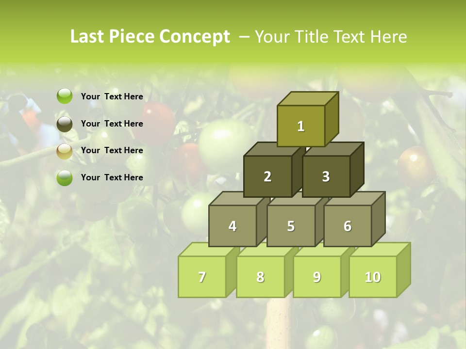 A Tree Filled With Lots Of Green And Red Tomatoes PowerPoint Template