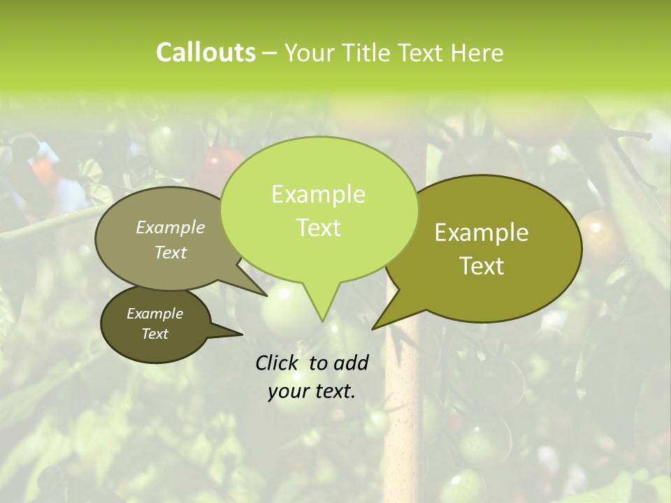 A Tree Filled With Lots Of Green And Red Tomatoes PowerPoint Template