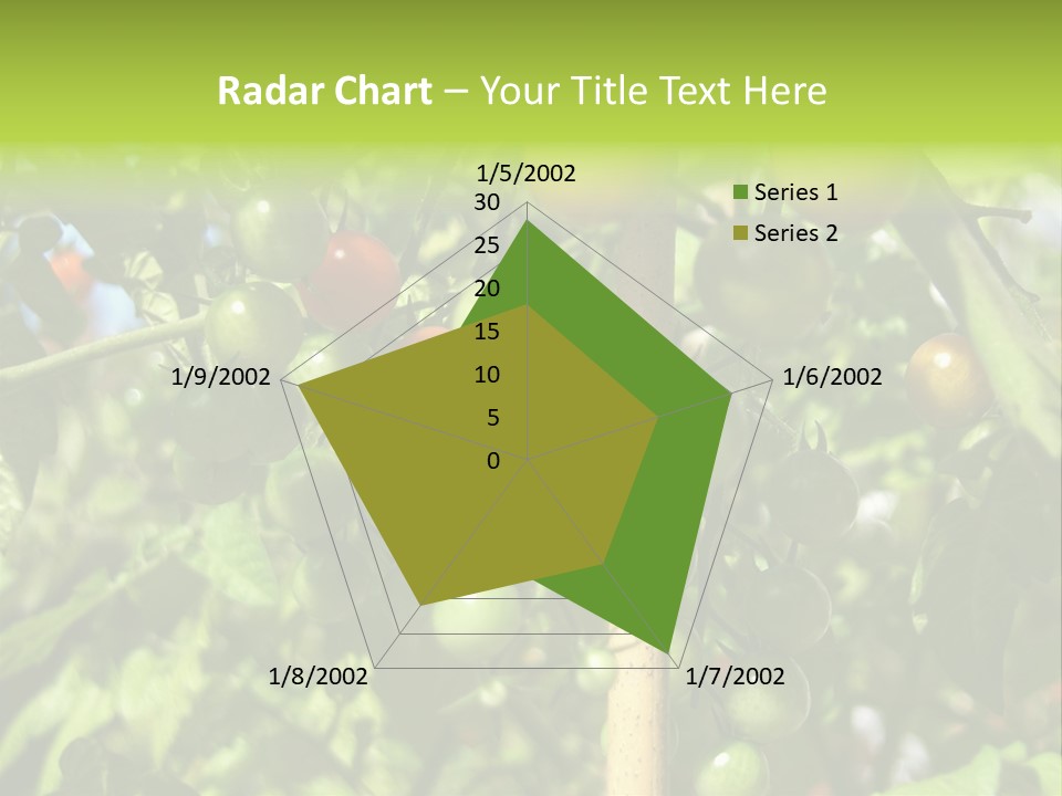 A Tree Filled With Lots Of Green And Red Tomatoes PowerPoint Template