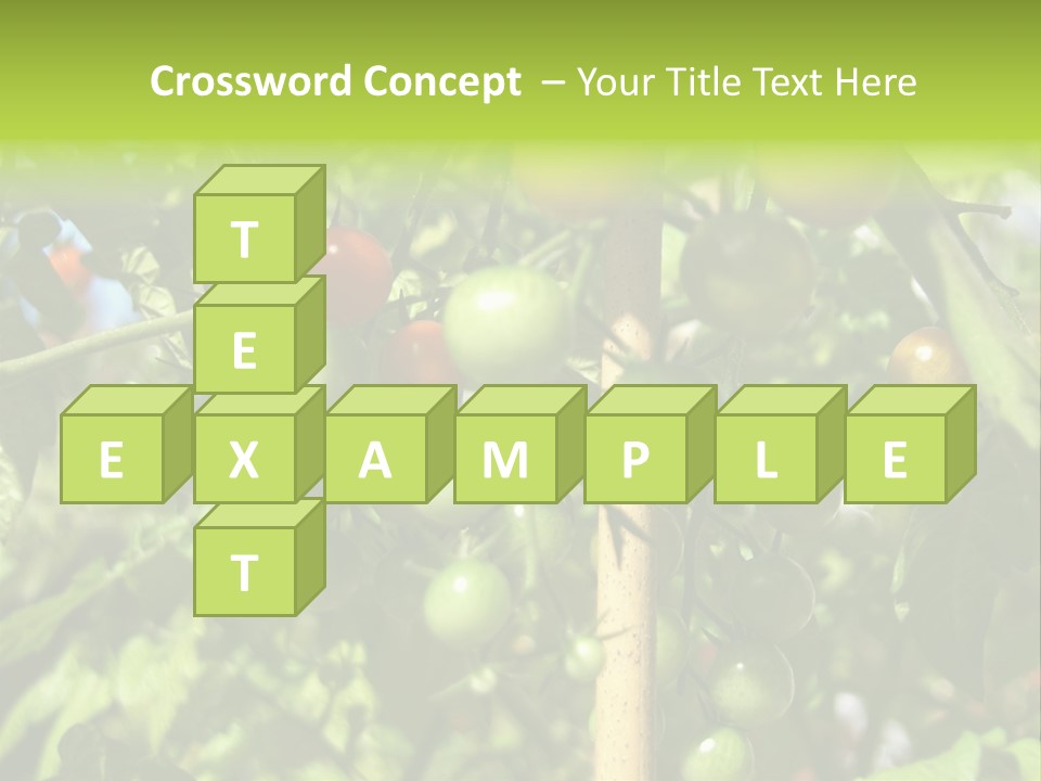 A Tree Filled With Lots Of Green And Red Tomatoes PowerPoint Template