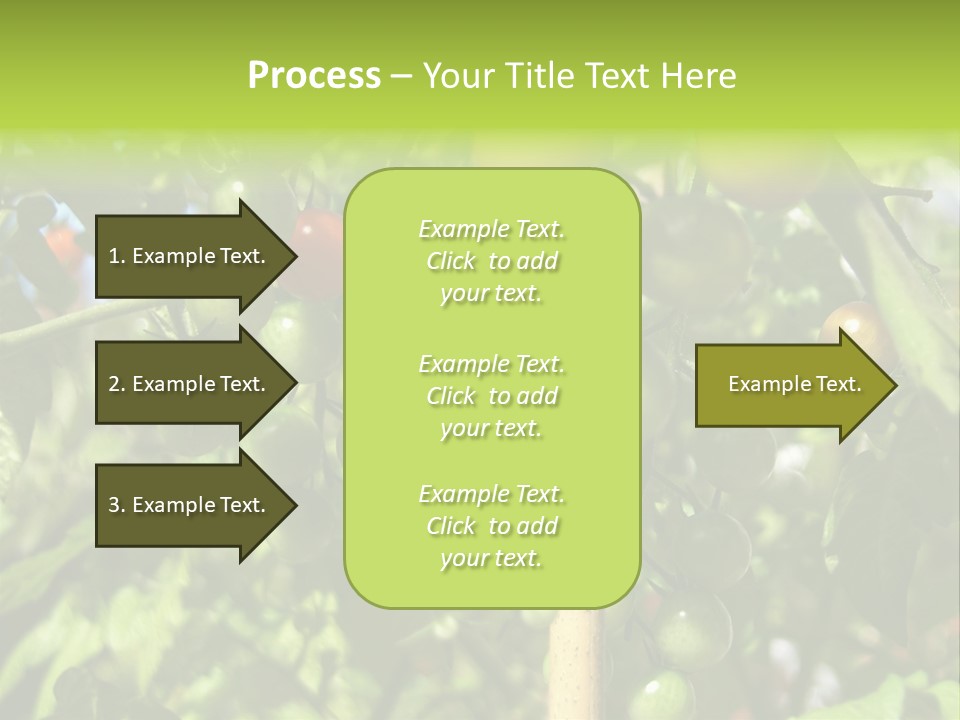 A Tree Filled With Lots Of Green And Red Tomatoes PowerPoint Template