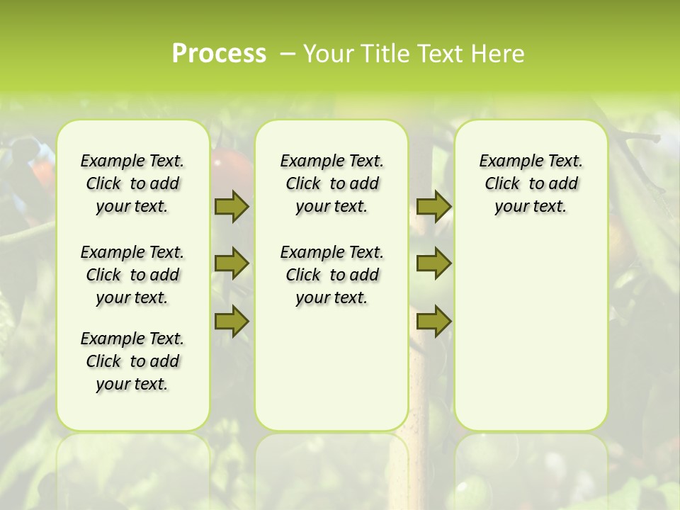 A Tree Filled With Lots Of Green And Red Tomatoes PowerPoint Template