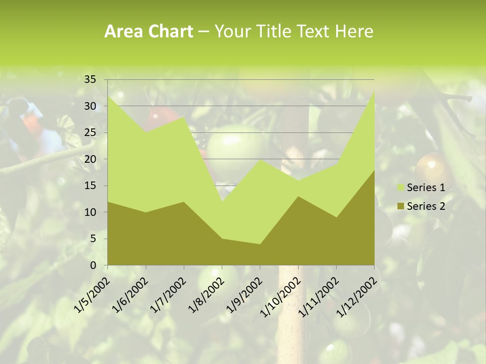 A Tree Filled With Lots Of Green And Red Tomatoes PowerPoint Template