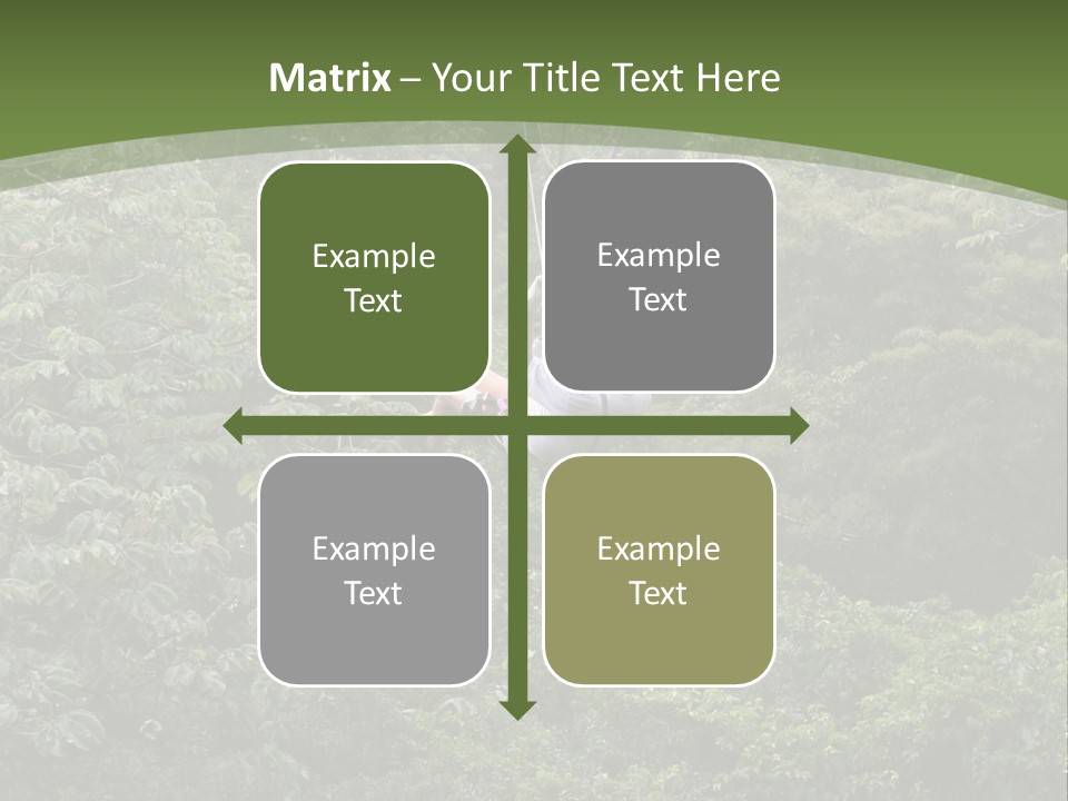 A Man Riding A Zip Line In The Middle Of A Forest PowerPoint Template