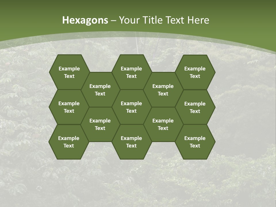 A Man Riding A Zip Line In The Middle Of A Forest PowerPoint Template