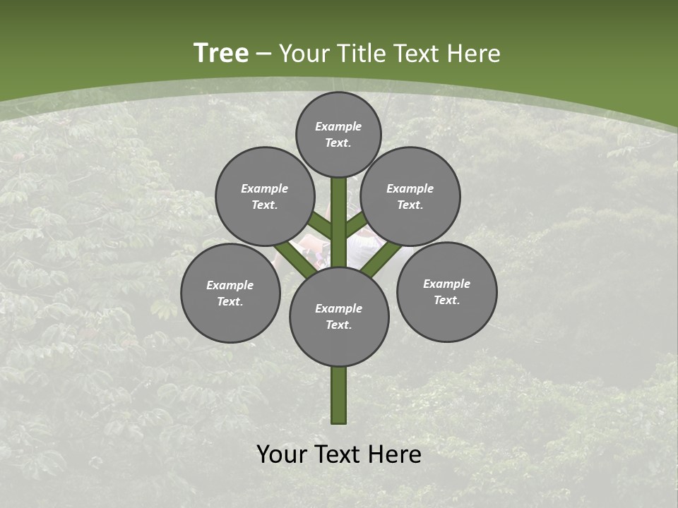 A Man Riding A Zip Line In The Middle Of A Forest PowerPoint Template