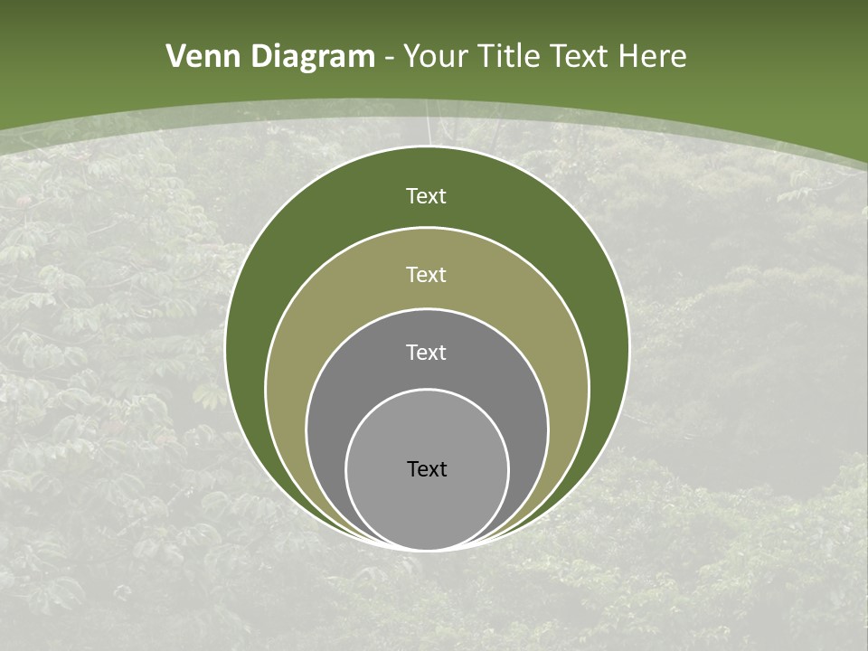 A Man Riding A Zip Line In The Middle Of A Forest PowerPoint Template