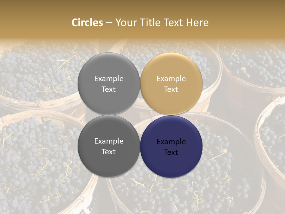 Tick On Skin PowerPoint Template