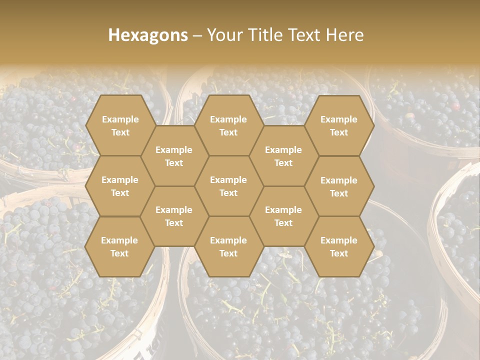 Tick On Skin PowerPoint Template