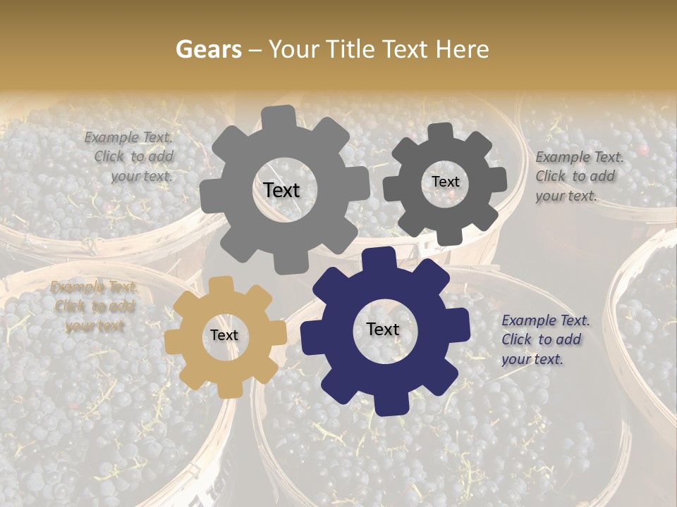 Tick On Skin PowerPoint Template