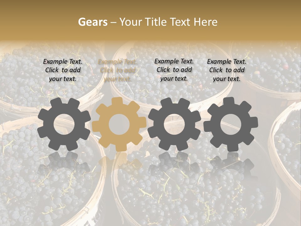 Tick On Skin PowerPoint Template