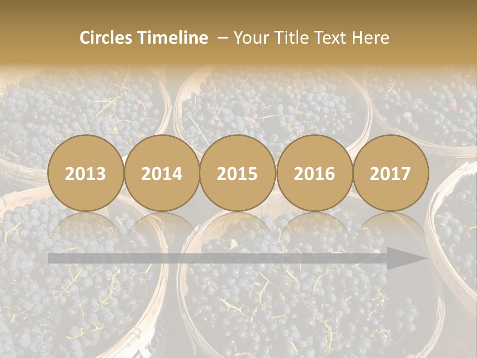 Tick On Skin PowerPoint Template