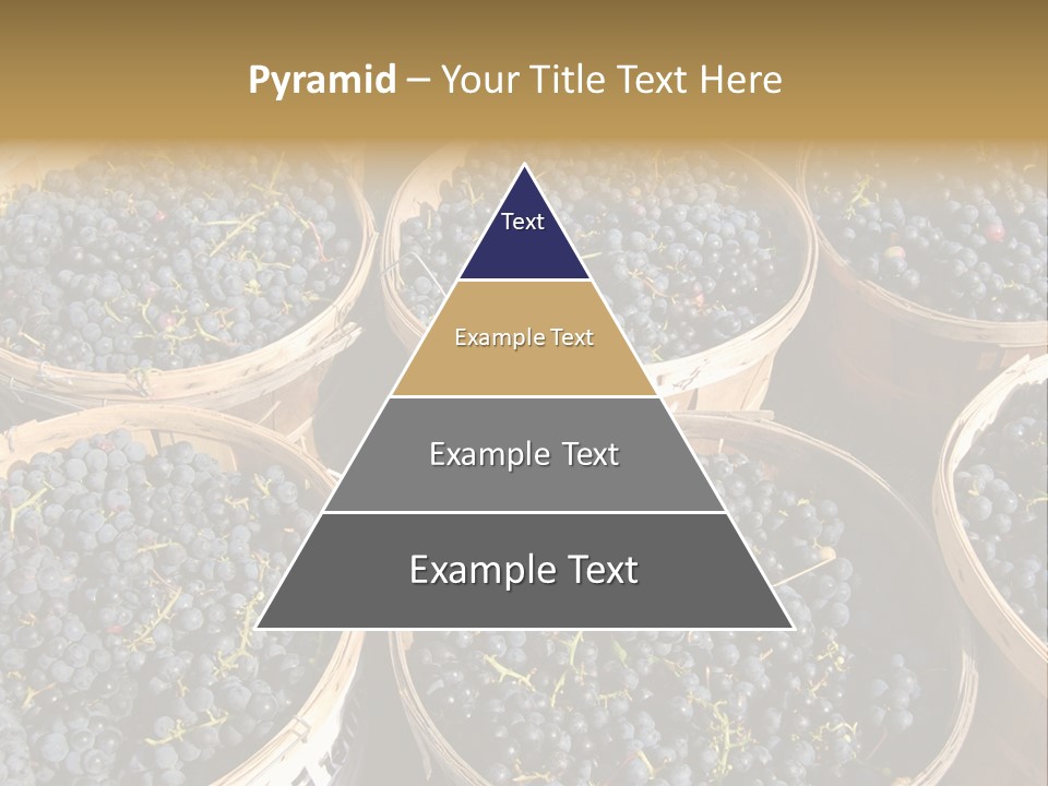 Tick On Skin PowerPoint Template