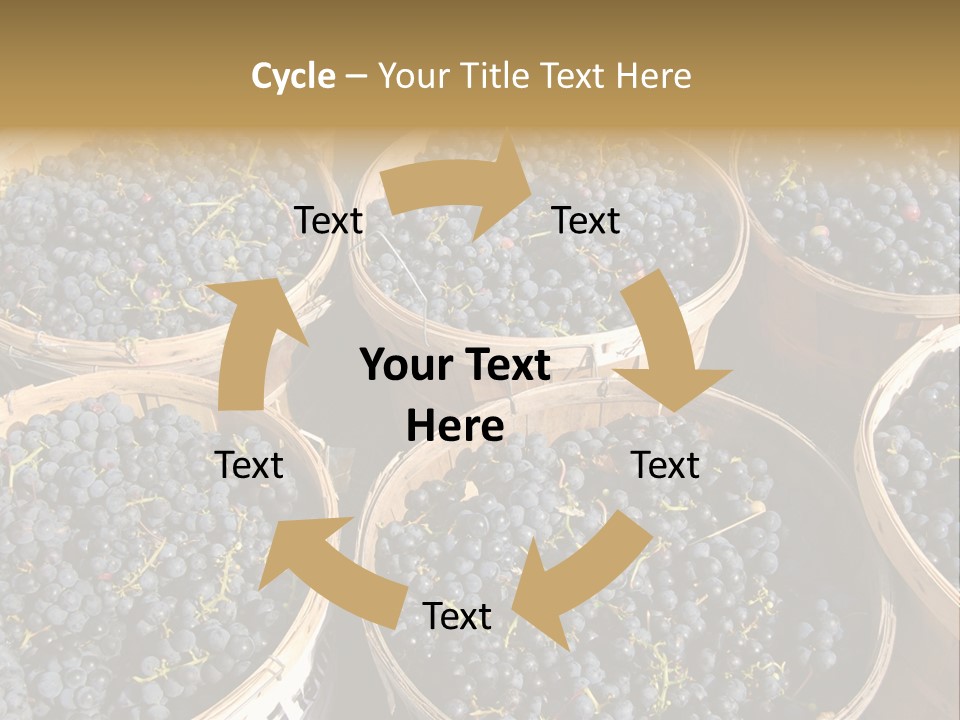 Tick On Skin PowerPoint Template