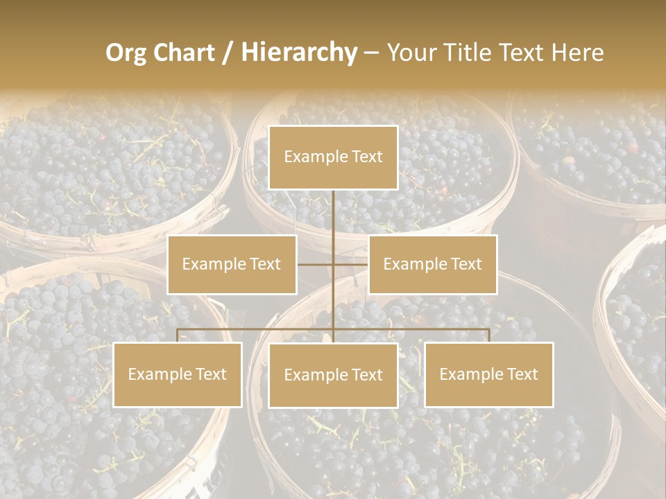 Tick On Skin PowerPoint Template