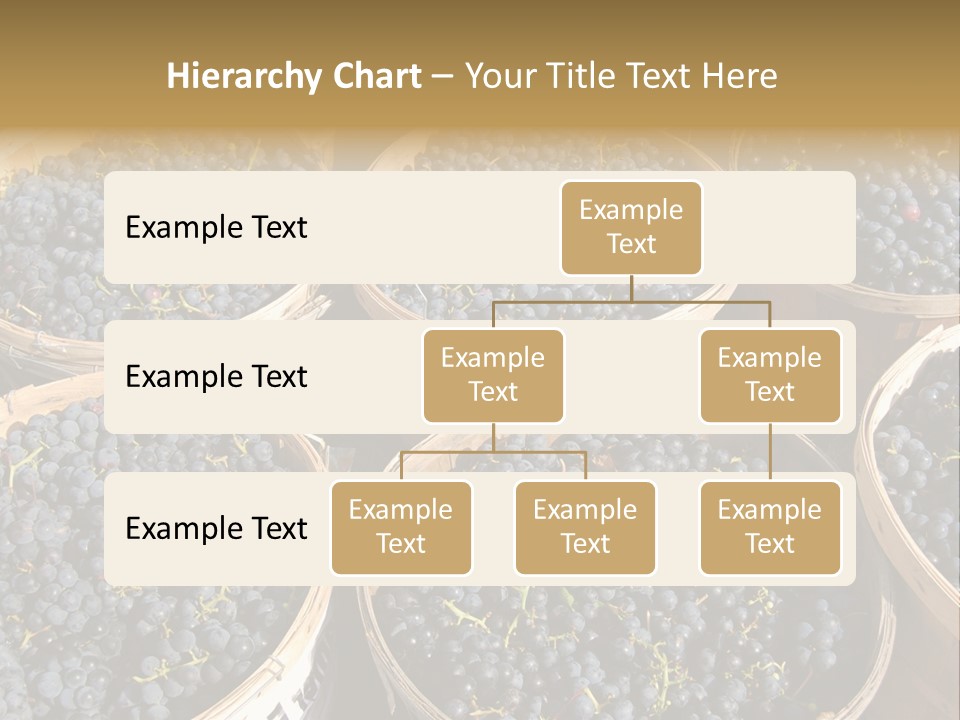 Tick On Skin PowerPoint Template
