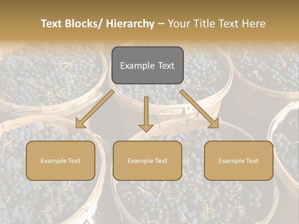 Tick On Skin PowerPoint Template