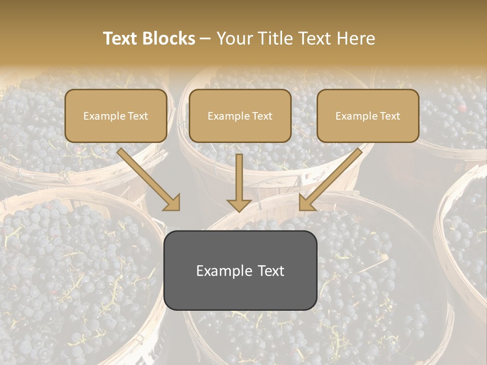Tick On Skin PowerPoint Template