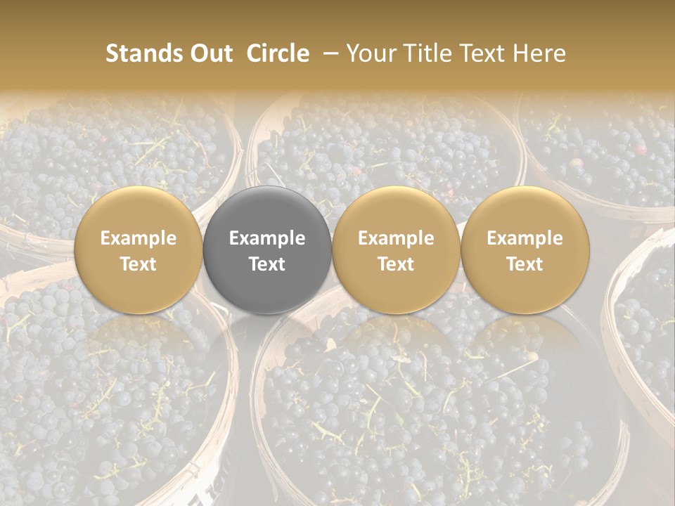 Tick On Skin PowerPoint Template